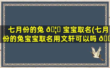 七月份的兔 🦁 宝宝取名(七月份的兔宝宝取名用文轩可以吗 🌴 )
